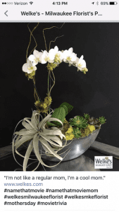 instagram post from Welke Flowers of a Orchid for Mother's Day